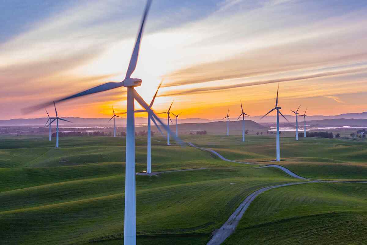 policies_03 https://lauramparo.com/wp-content/uploads/2019/02/policies_03.jpg